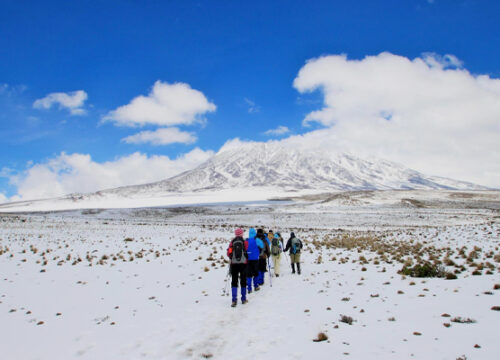 7 Days Rongai Route Mount Kilimanjaro Trekking