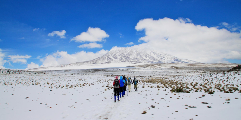 7 Days Rongai Route Mount Kilimanjaro Trekking