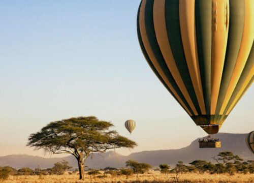 1 Days Ballon Safari Flying High Above The Serengeti