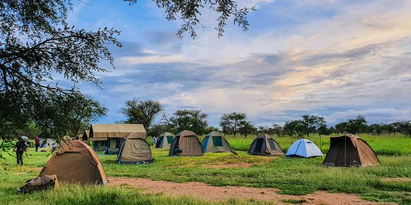 7 Days Tanzania Budget Camping Safari