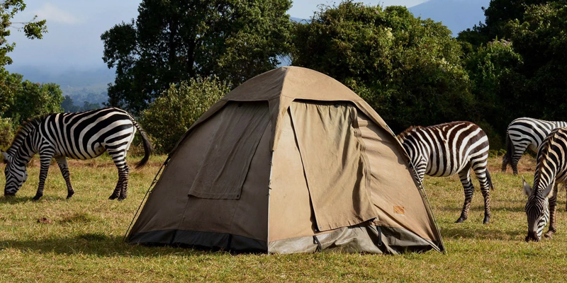 5 Days Tanzania Budget Camping Safari