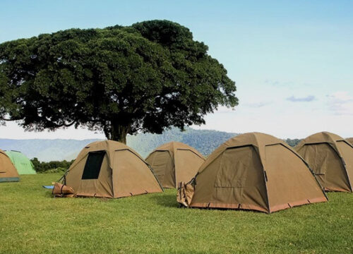 7 Days Tanzania Budget Camping Safari