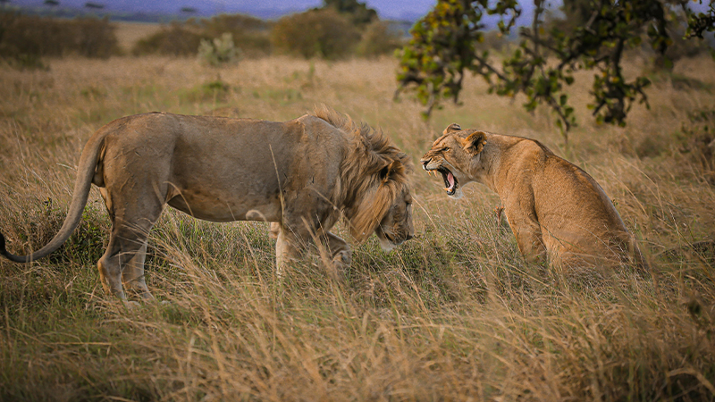 Serengeti National Park