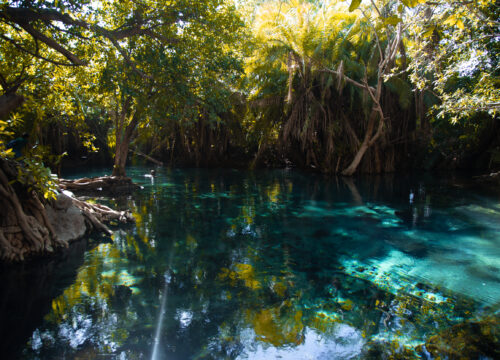 Kikuletwa Hotspring